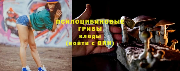 винт Медногорск