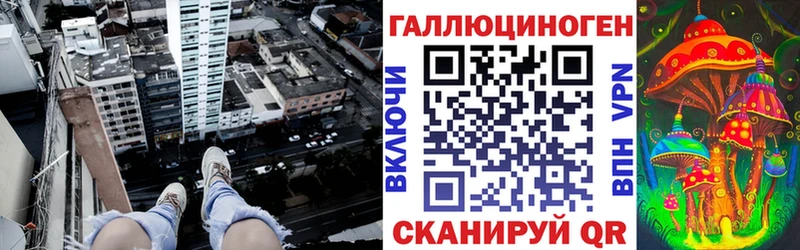 Галлюциногенные грибы Cubensis  Купить закладки  Новодвинск 