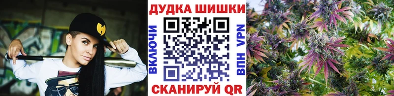 Купить закладки  Новодвинск  Шишки марихуана OG Kush 